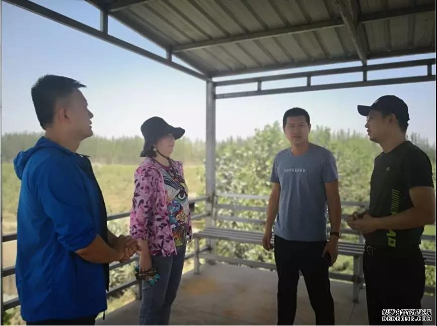 中国太保精准扶贫彩虹平台负责人赴喀什进行产业调研交流