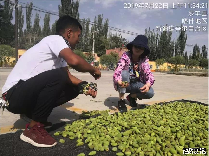 中国太保精准扶贫彩虹平台负责人赴喀什进行产业调研交流