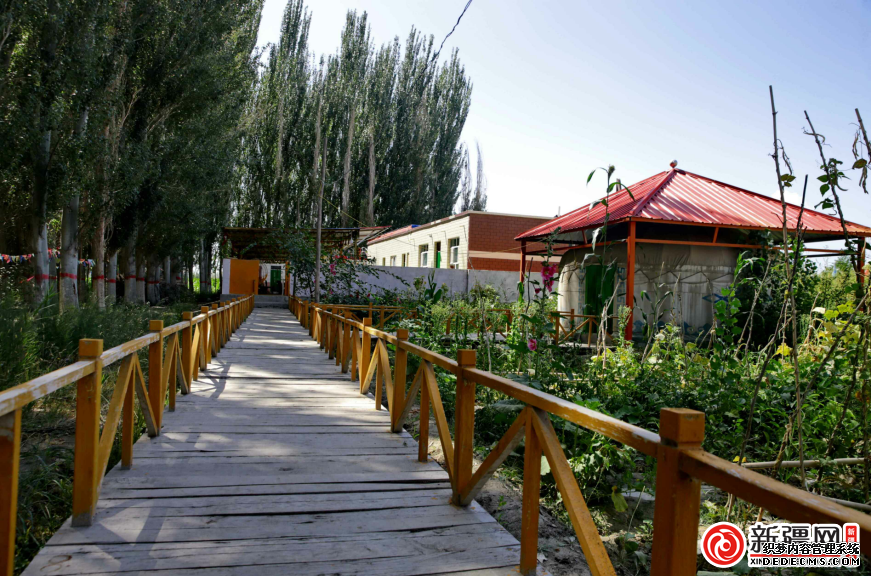 新疆博湖旅游引发年轻人返乡创业热情