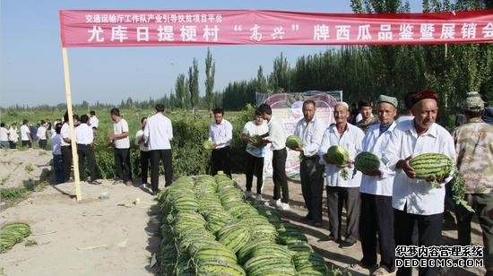 7月12日，高尚农业科技产业发展有限公司生产的“高兴”牌无公害西瓜品鉴和展销会上，当日卖出西瓜32吨。秋季大白菜已经预定出了200吨，将远销乌鲁木齐、叶城、西藏阿里地区。
