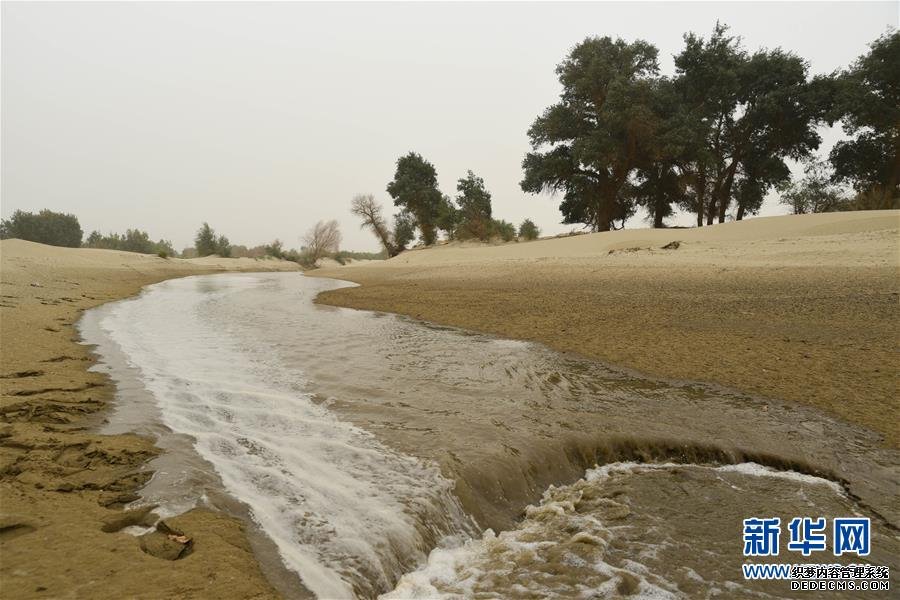 塔里木河：回荡在南疆大地的绿色颂歌(2)