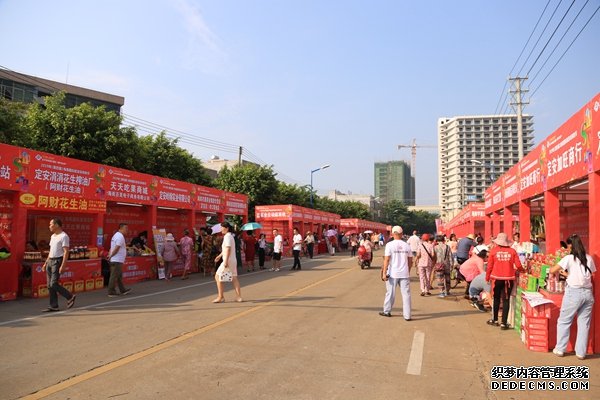 2019年海南（定安）美食购物嘉年华活动暨第四届海南国际旅游岛购物节定安分会场开幕