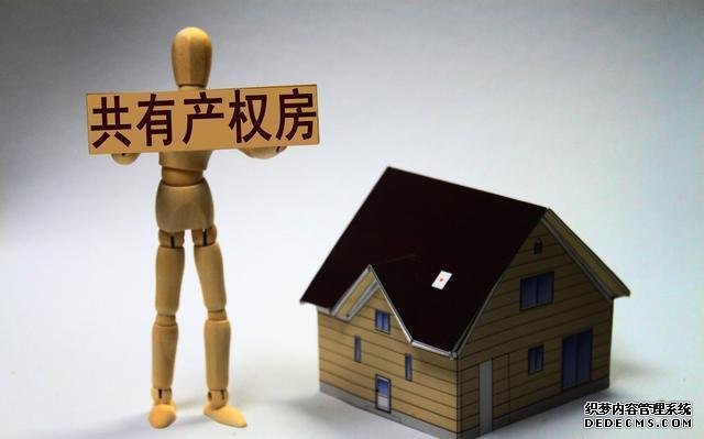 新的政策房来了!房子你一半政府一半 你愿意吗?