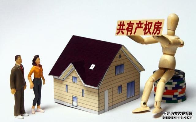 新的政策房来了!房子你一半政府一半 你愿意吗?