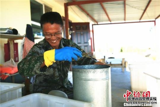     新疆兵团第十师一八三团养殖户分拣螃蟹，喜笑颜开。（资料图）　赵永梅　摄