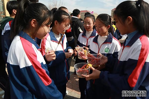 潍坊美加实验学校第四届体育美食节隆重举行