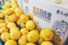 霸王岭山鸡乌烈乳羊 纯天