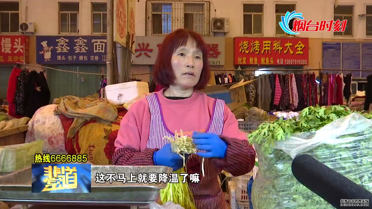 【视频】气温下降烟台蔬菜海鲜价格平稳 鲜海参85元一斤