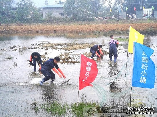 美食文化盛宴 柳南区第二届螺蛳粉小镇文化节开幕