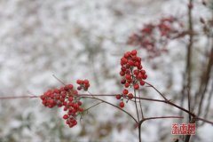 小雪节气的民俗有哪些？