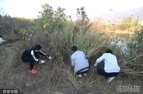 早安武汉︱吃了这个当季美食，武汉男子肌肉溶