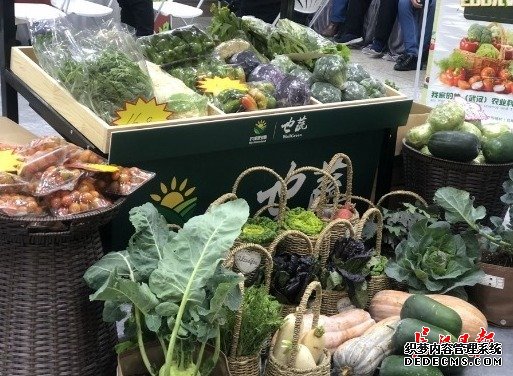 下周去食博会打年货，国内外美食一次尝遍