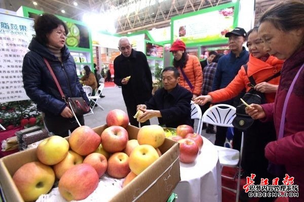 逛食博，品美食