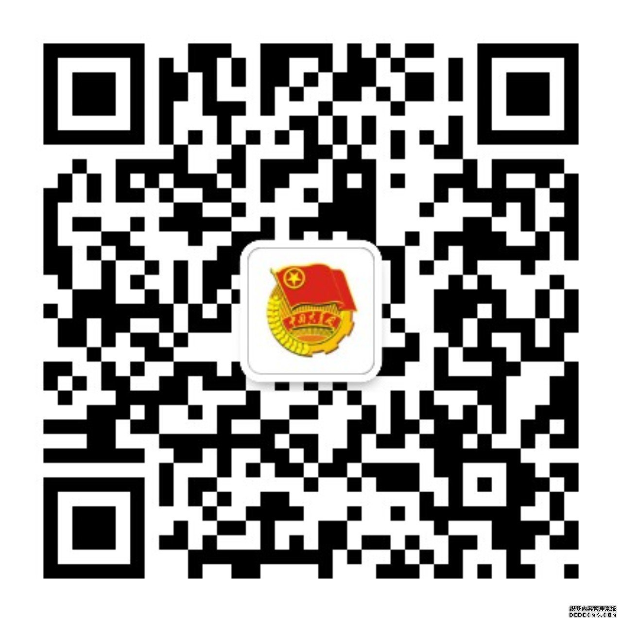 区领导调研萧山三中新疆部民族工作