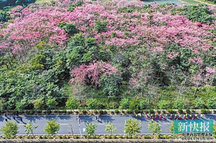 大环线串起4个村美景 花果美食展现乡村画卷