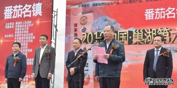 2019中国·巢湖第六届中垾番茄美食文化节开幕