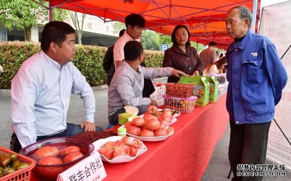 2019中国·巢湖第六届中垾番茄美食文化节开幕