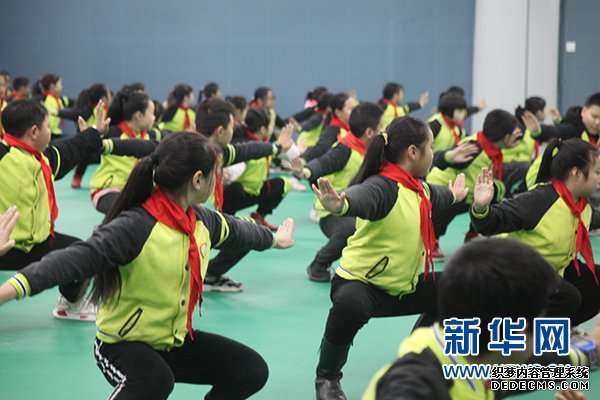 九龙坡区人和小学举行武术段位制考试