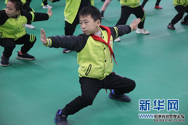 九龙坡区人和小学举行武术段位制考试