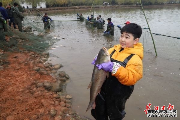 “舌尖上的武科大”美食评比大赛开赛