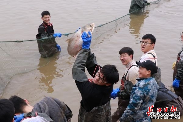 “舌尖上的武科大”美食评比大赛开赛