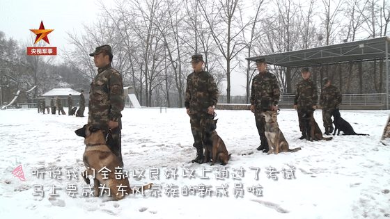 火箭军军犬也有“入职考试” 看完你给打几分？