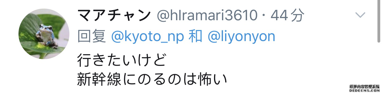 疫情致游客骤减 日本景点挂
