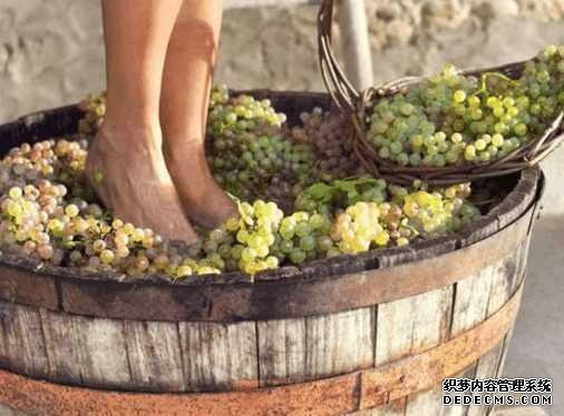 美少女用脚踩出来的葡萄酒，世界上最顶级的，很少有人喝得上