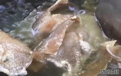中国人眼中的“垃圾食品
