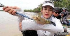 大虾泛滥的湄公河，长度