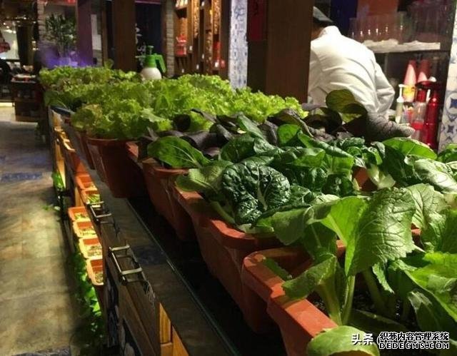 火锅店差点倒闭,老板一拍脑袋想个点子,每天晚上店门口都排长队