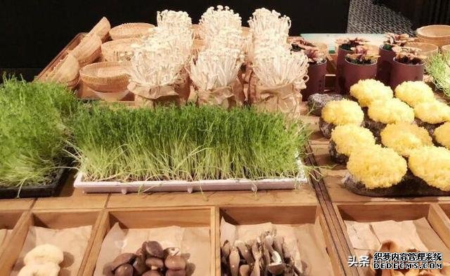 火锅店差点倒闭,老板一拍脑袋想个点子,每天晚上店门口都排长队