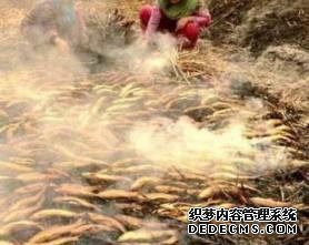 被誉为印度顶级美食,号称可以打败任何中国美食,看完我醉了