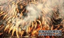 被誉为印度顶级美食,号称可以打败任何中国美食,看完我醉了