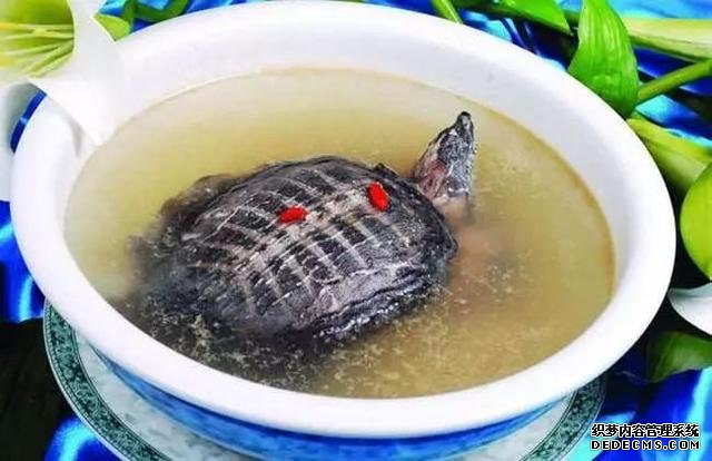 日本人评选中国最残忍食物!有没有你的最爱,网友:道理我都懂