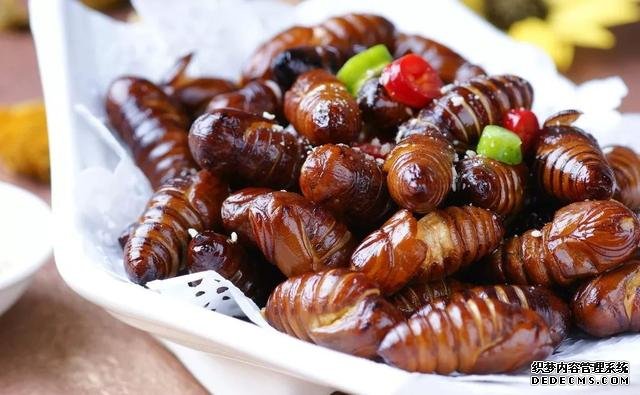 日本人评选中国最残忍食物!有没有你的最爱,网友:道理我都懂
