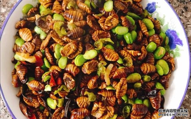 日本人评选中国最残忍食物!有没有你的最爱,网友:道理我都懂