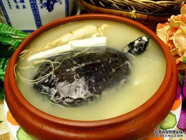 日本人评选中国最残忍食物!有没有你的最爱,网友:道理我都懂