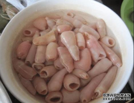 样子很丑的4种海鲜,味道却好到让人“上瘾”, 可惜识货的人不多