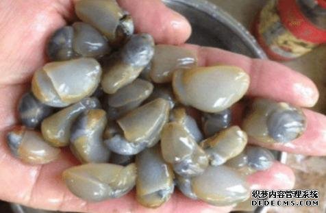 样子很丑的4种海鲜,味道却好到让人“上瘾”, 可惜识货的人不多