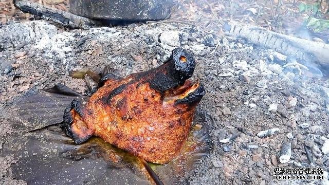 花88元买了个猪头,腌好扣在破锅底下,3小时后掀开被馋到流口水