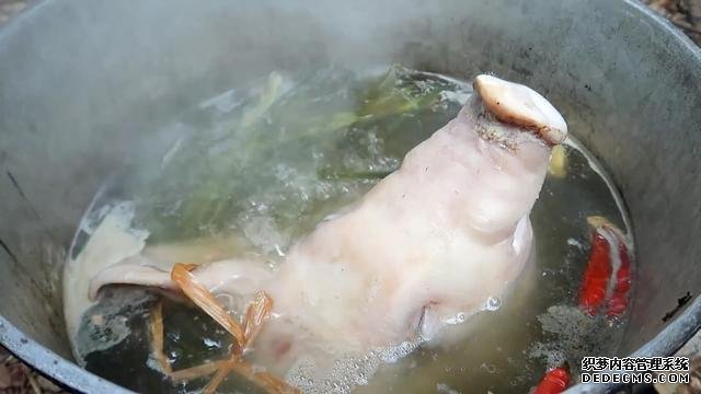 花88元买了个猪头,腌好扣在破锅底下,3小时后掀开被馋到流口水