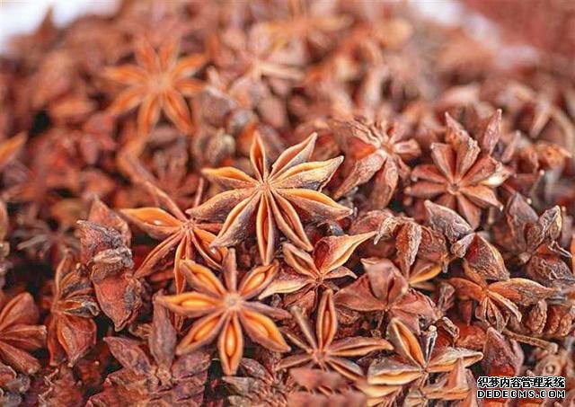 无论卤什么肉,放入这4种香料,卤出的肉比买的还要香