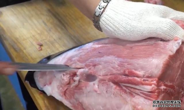 2万块的鱼头是什么味道?日本大厨切开直接生吃,是吃货自然懂