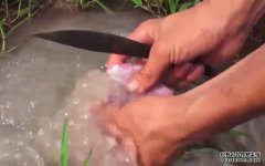 越南名菜“蚂蚁牛肉”，