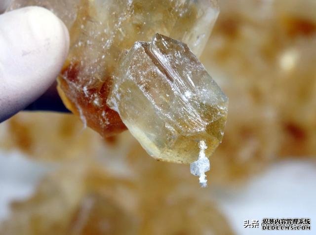 冰糖里吃出“白线”,很多人嫌脏,制糖商这样解释