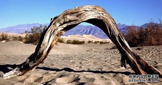 昆仑山上的''地狱之门'',1983年的科考队,在峡谷内的惊人发现