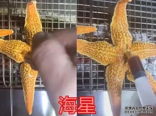 万物皆可烧烤,烧烤上的奇葩食材,全吃过的是吃货“人才”