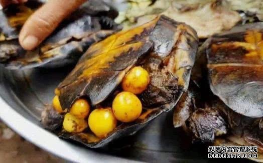 万物皆可烧烤,烧烤上的奇葩食材,全吃过的是吃货“人才”