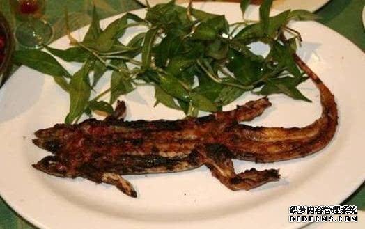 万物皆可烧烤,烧烤上的奇葩食材,全吃过的是吃货“人才”